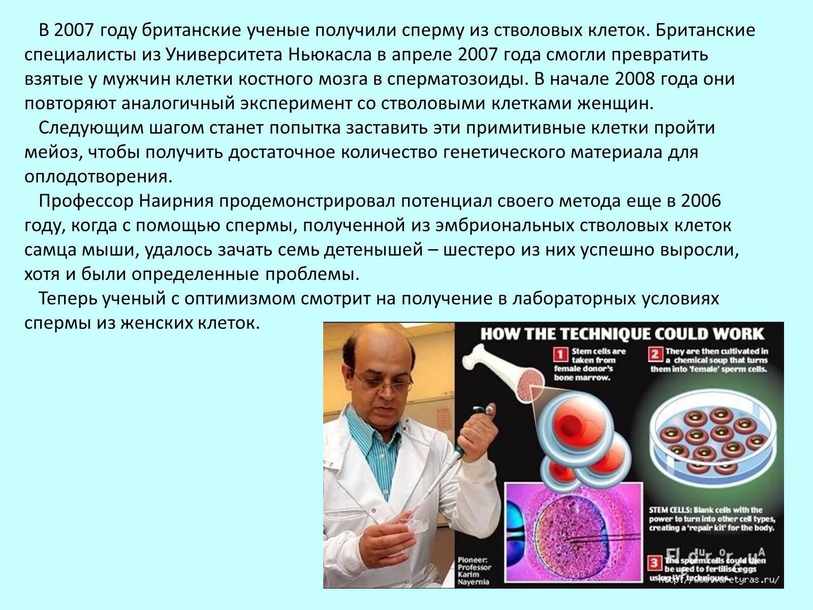 Презентація на тему «Гистотехнологии» - Слайд #10 Презентація на тему «Гистотехнологии» - Слайд #10