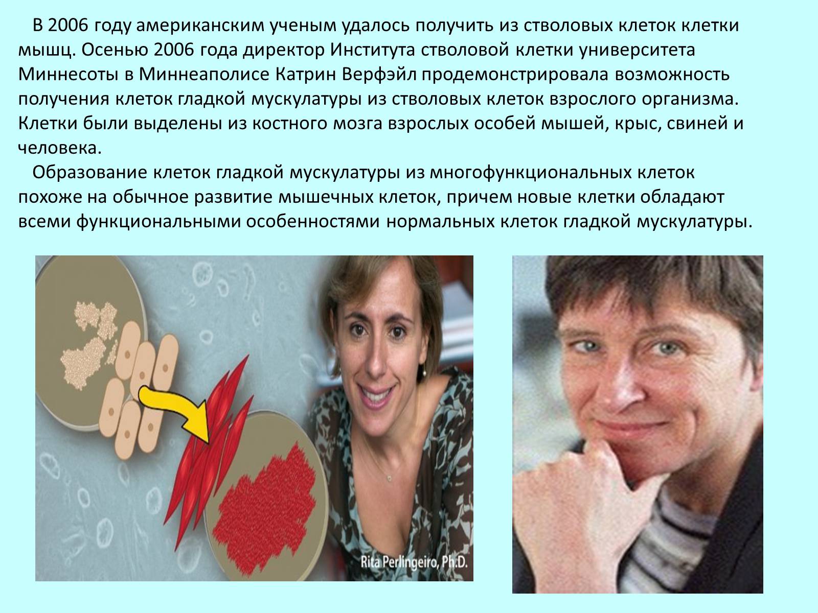 Презентація на тему «Гистотехнологии» - Слайд #11 Презентація на тему «Гистотехнологии» - Слайд #11