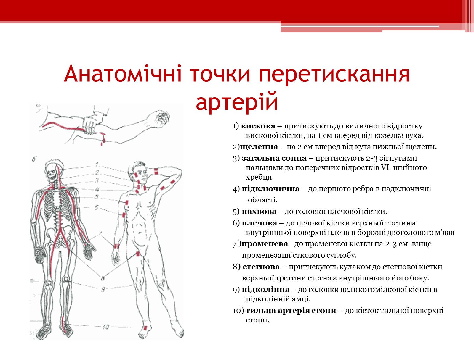 Презентація на тему «Перша допомога при кровотечах» (варіант 1) - Слайд #11 Презентація на тему «Перша допомога при кровотечах» (варіант 1) - Слайд #11