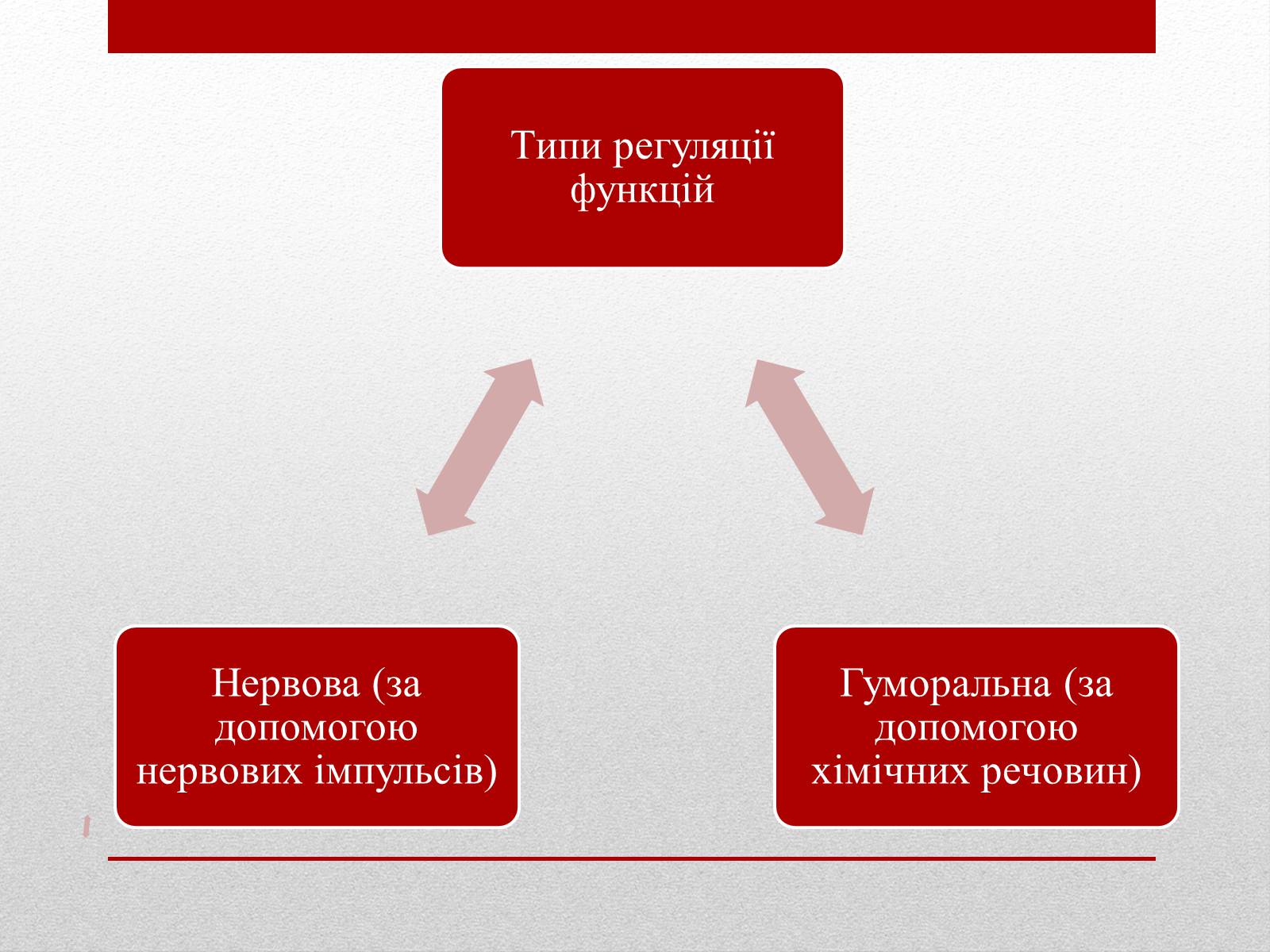 Презентація на тему «Регуляція функцій багатоклітинних організмів» - Слайд #2 Презентація на тему «Регуляція функцій багатоклітинних організмів» - Слайд #2