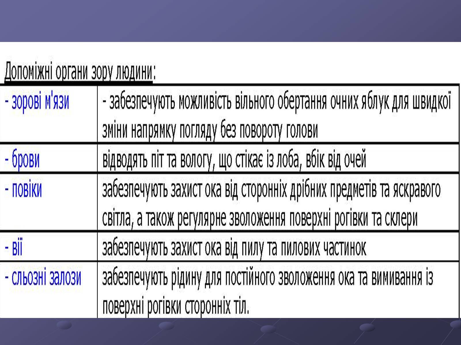 Презентація на тему «Будова ока» - Слайд #8 Презентація на тему «Будова ока» - Слайд #8