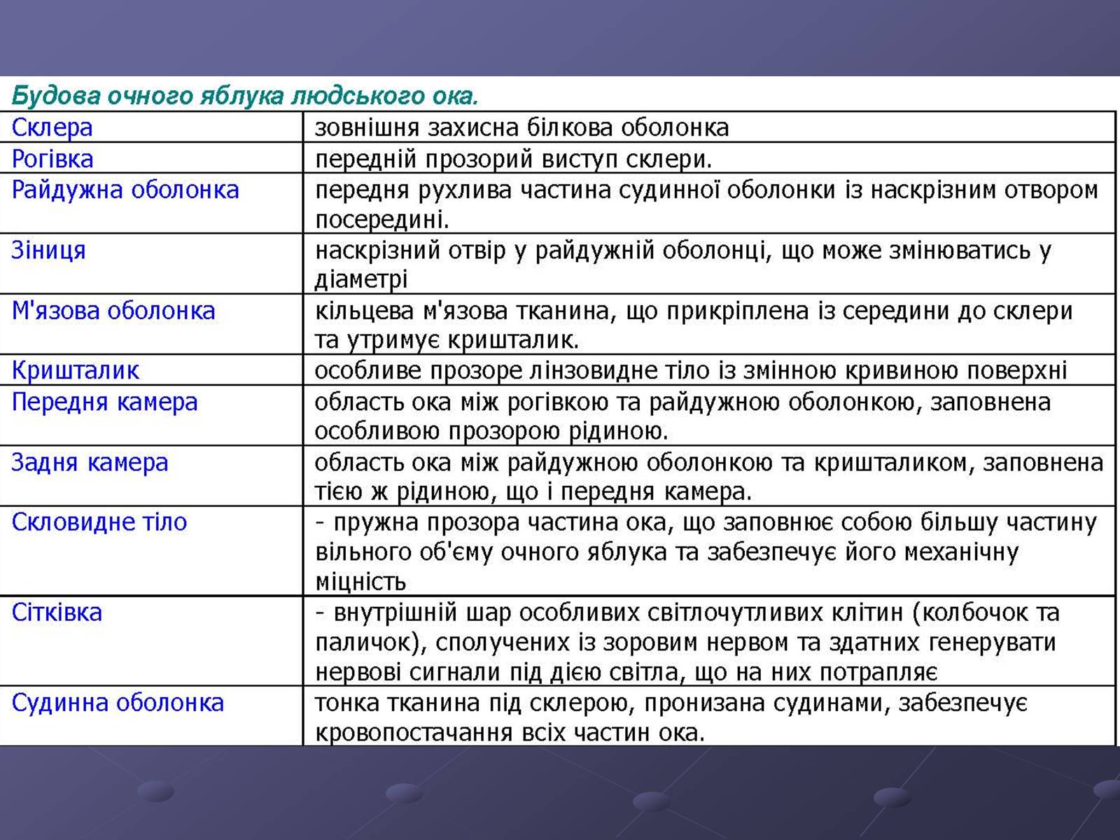 Презентація на тему «Будова ока» - Слайд #9 Презентація на тему «Будова ока» - Слайд #9