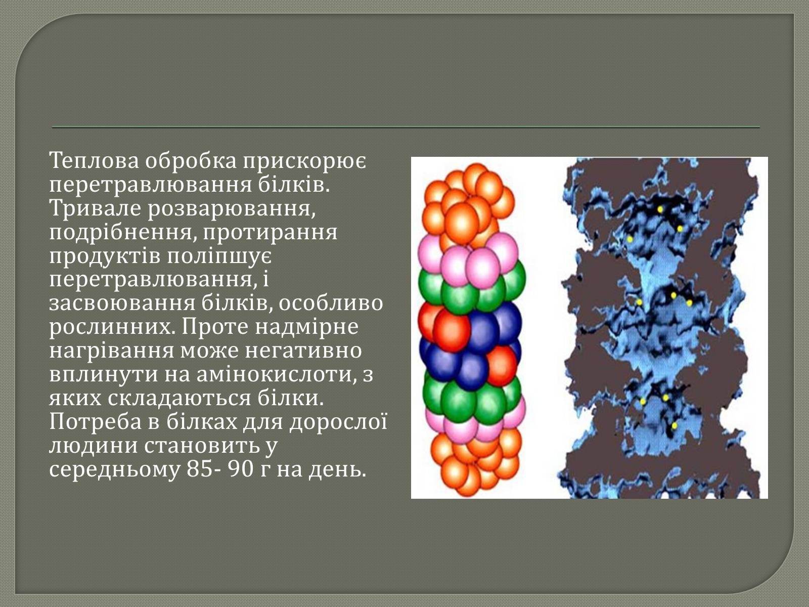 Презентація на тему «Біологічна роль білків» - Слайд #9 Презентація на тему «Біологічна роль білків» - Слайд #9