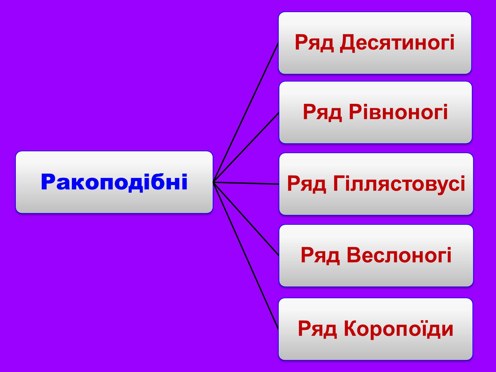 Презентація на тему «Річковий рак» - Слайд #25 Презентація на тему «Річковий рак» - Слайд #25