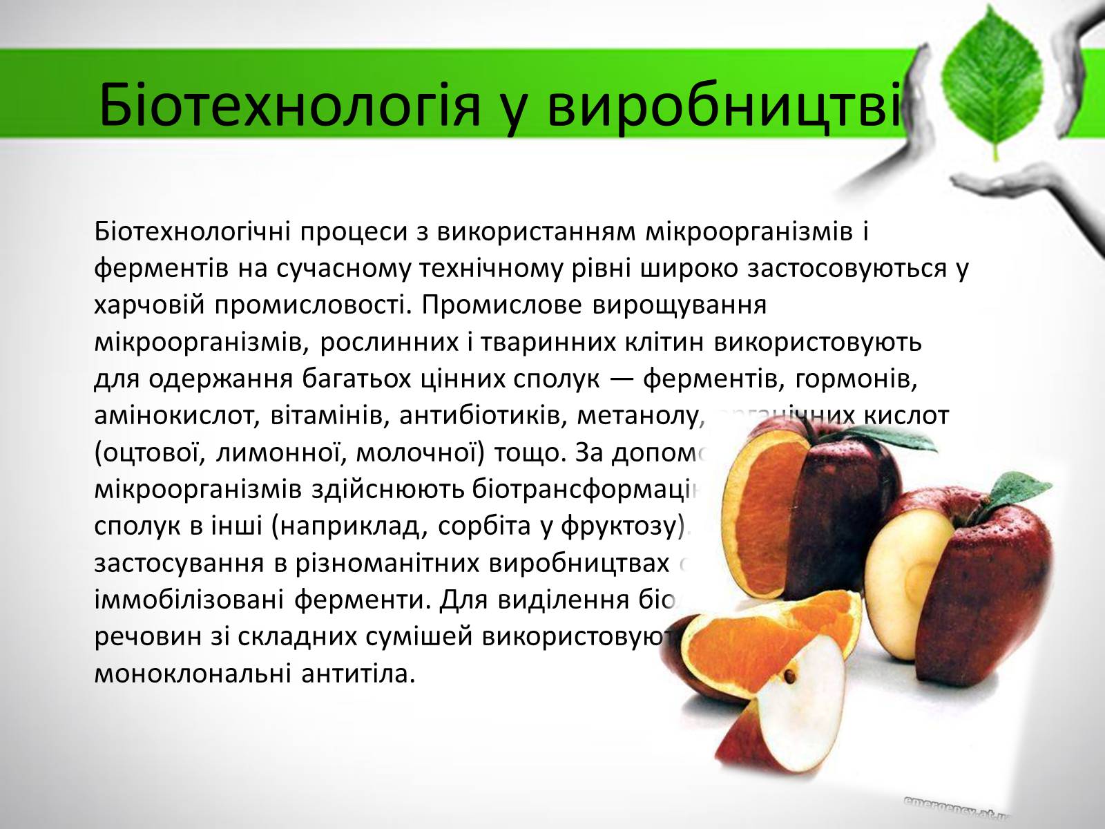 Презентація на тему «Біотехнологія» (варіант 3) - Слайд #10 Презентація на тему «Біотехнологія» (варіант 3) - Слайд #10