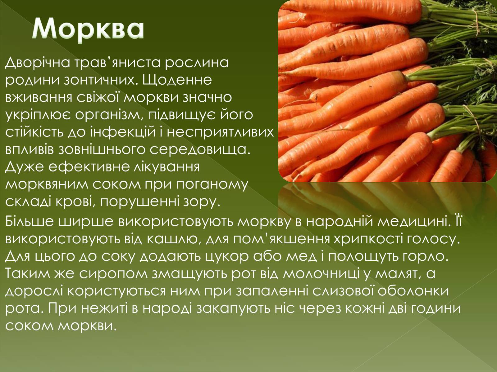 Презентація на тему «Овочеві культури – як лікарські препарати» - Слайд #12 Презентація на тему «Овочеві культури – як лікарські препарати» - Слайд #12