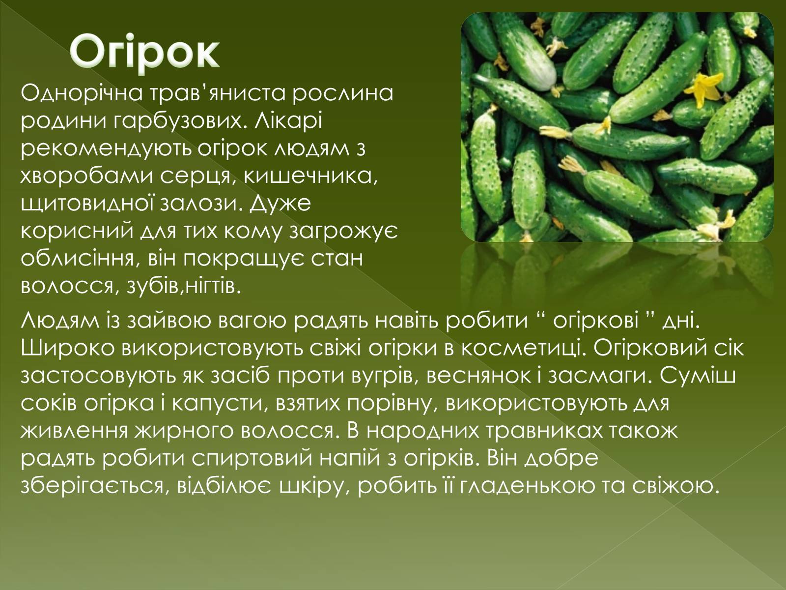 Презентація на тему «Овочеві культури – як лікарські препарати» - Слайд #13 Презентація на тему «Овочеві культури – як лікарські препарати» - Слайд #13