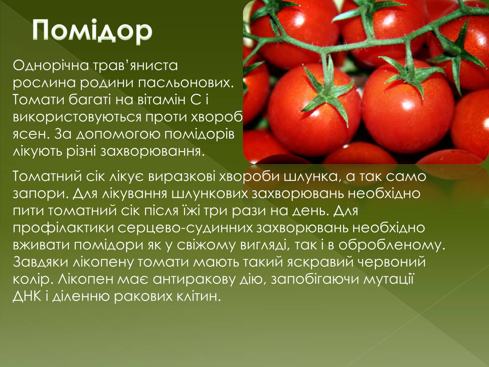 Презентація на тему «Овочеві культури – як лікарські препарати» - Слайд #15 Презентація на тему «Овочеві культури – як лікарські препарати» - Слайд #15