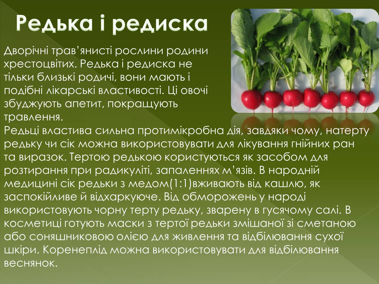 Презентація на тему «Овочеві культури – як лікарські препарати» - Слайд #16 Презентація на тему «Овочеві культури – як лікарські препарати» - Слайд #16
