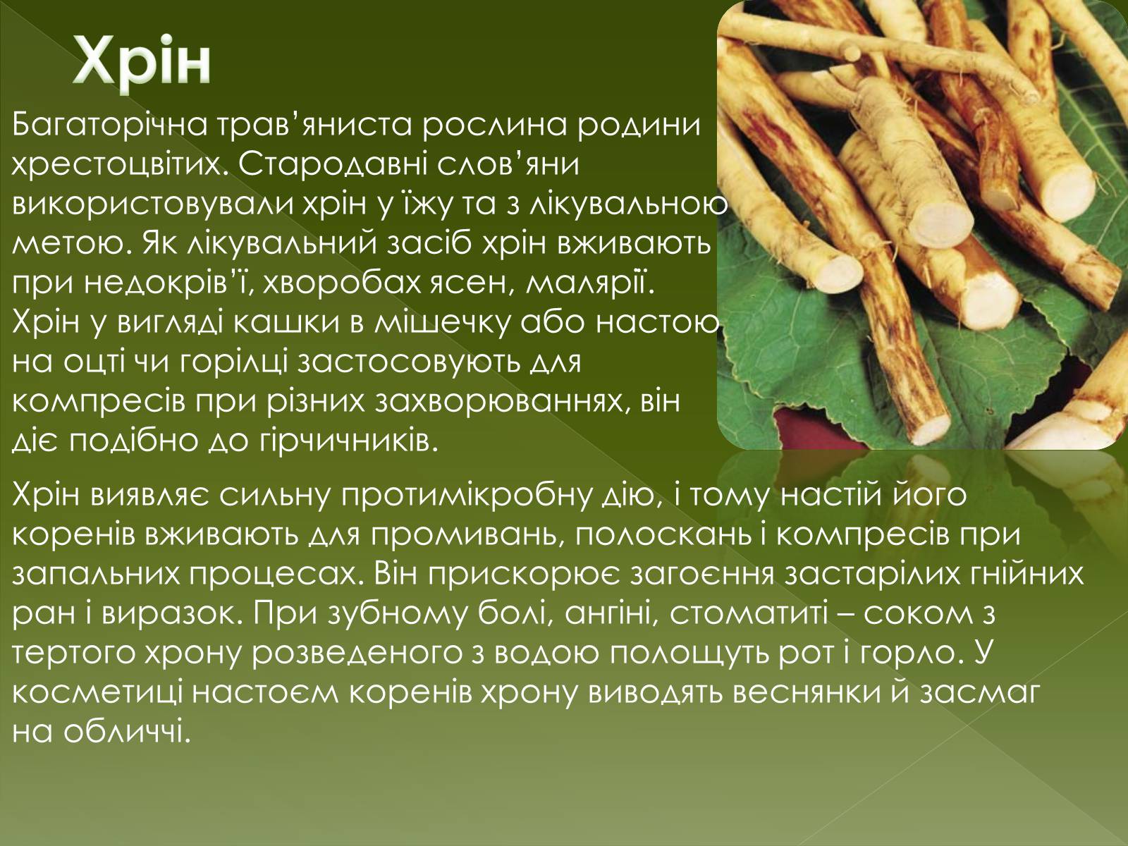 Презентація на тему «Овочеві культури – як лікарські препарати» - Слайд #18 Презентація на тему «Овочеві культури – як лікарські препарати» - Слайд #18