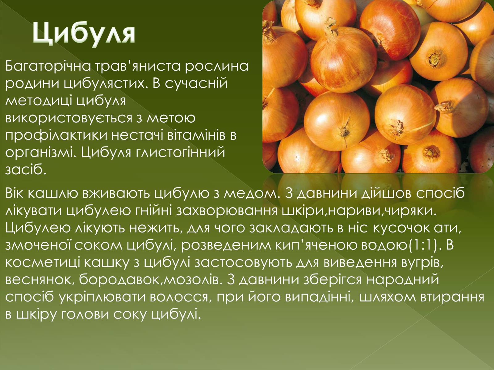 Презентація на тему «Овочеві культури – як лікарські препарати» - Слайд #19 Презентація на тему «Овочеві культури – як лікарські препарати» - Слайд #19