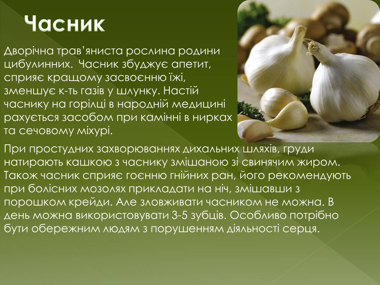 Презентація на тему «Овочеві культури – як лікарські препарати» - Слайд #20 Презентація на тему «Овочеві культури – як лікарські препарати» - Слайд #20