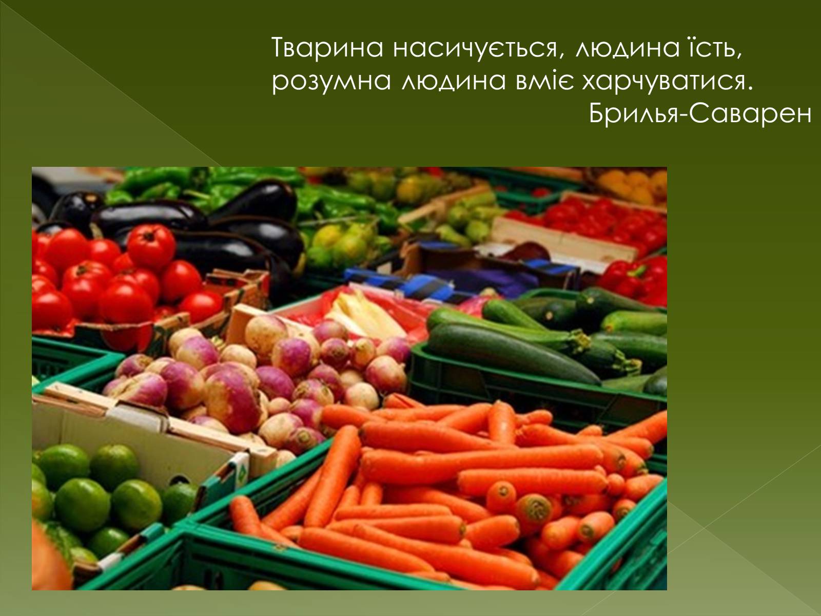 Презентація на тему «Овочеві культури – як лікарські препарати» - Слайд #4 Презентація на тему «Овочеві культури – як лікарські препарати» - Слайд #4