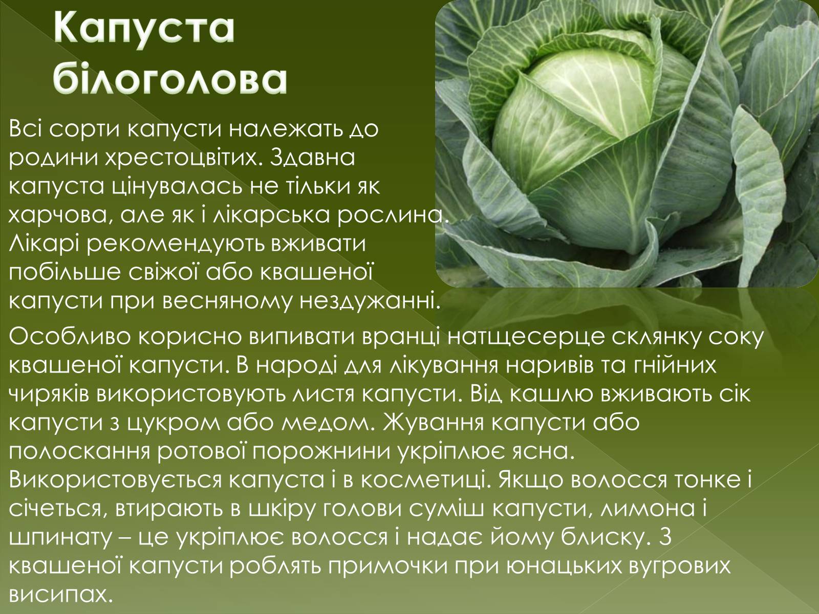 Презентація на тему «Овочеві культури – як лікарські препарати» - Слайд #8 Презентація на тему «Овочеві культури – як лікарські препарати» - Слайд #8
