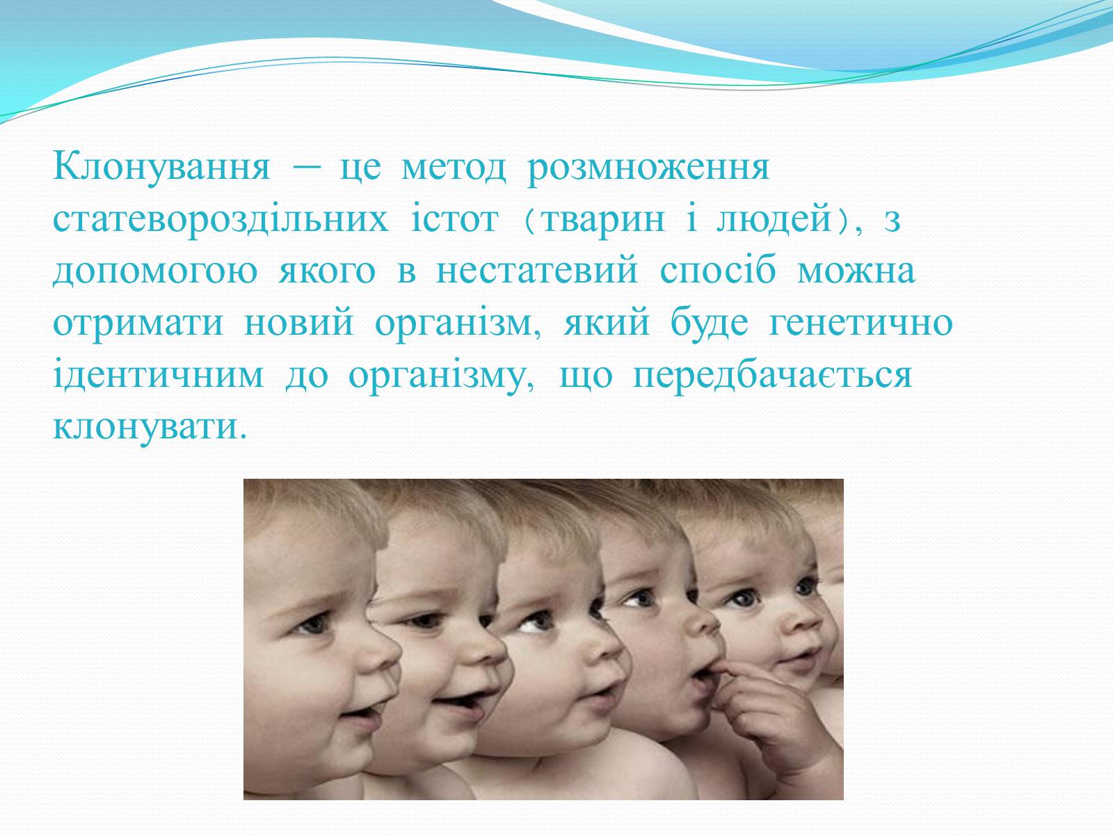 Презентація на тему «Ембріотехнології і клонування» (варіант 1) - Слайд #9 Презентація на тему «Ембріотехнології і клонування» (варіант 1) - Слайд #9