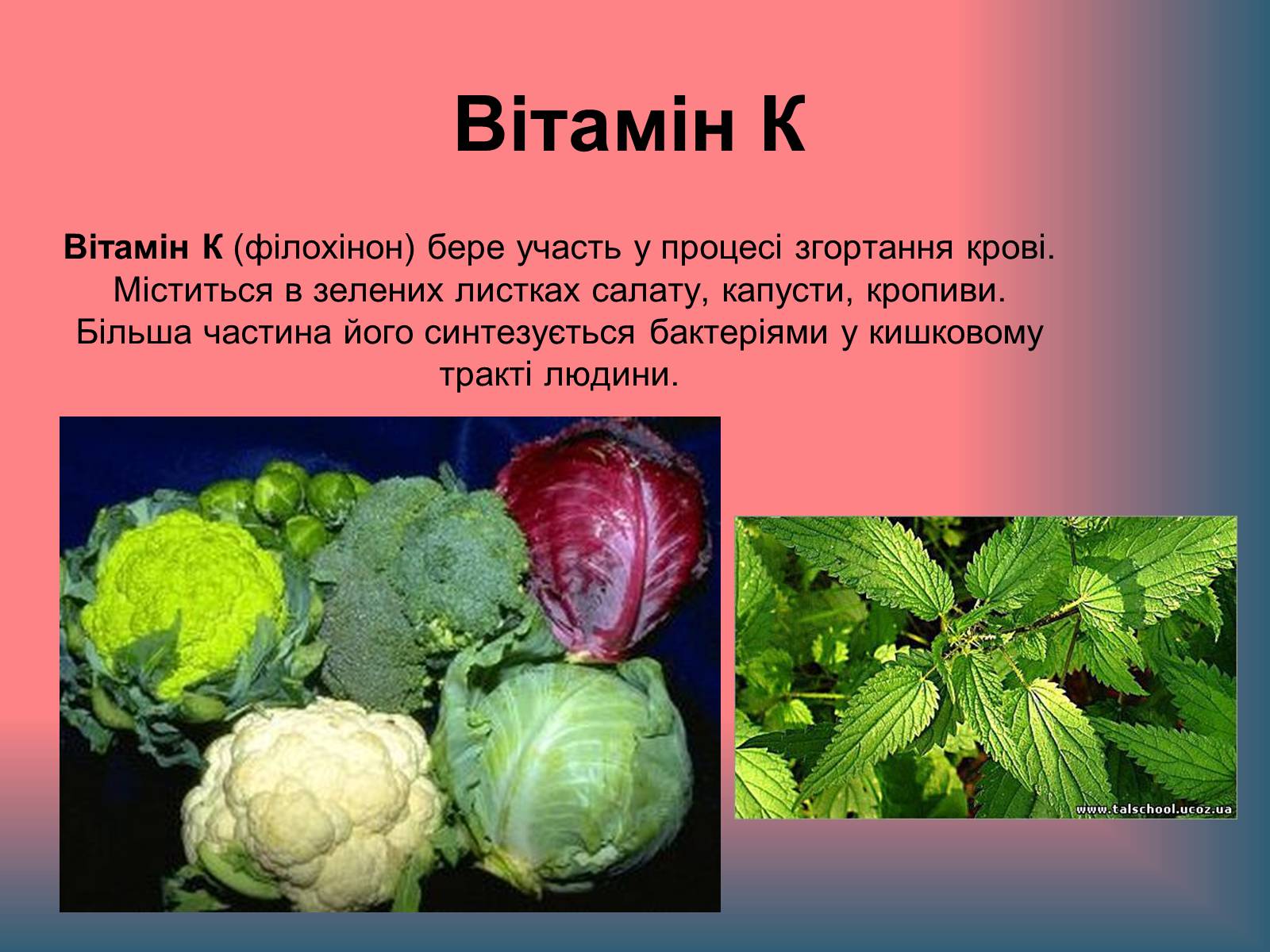 Презентація на тему «Вітаміни і їх роль в житті людини» (варіант 1) - Слайд #15 Презентація на тему «Вітаміни і їх роль в житті людини» (варіант 1) - Слайд #15