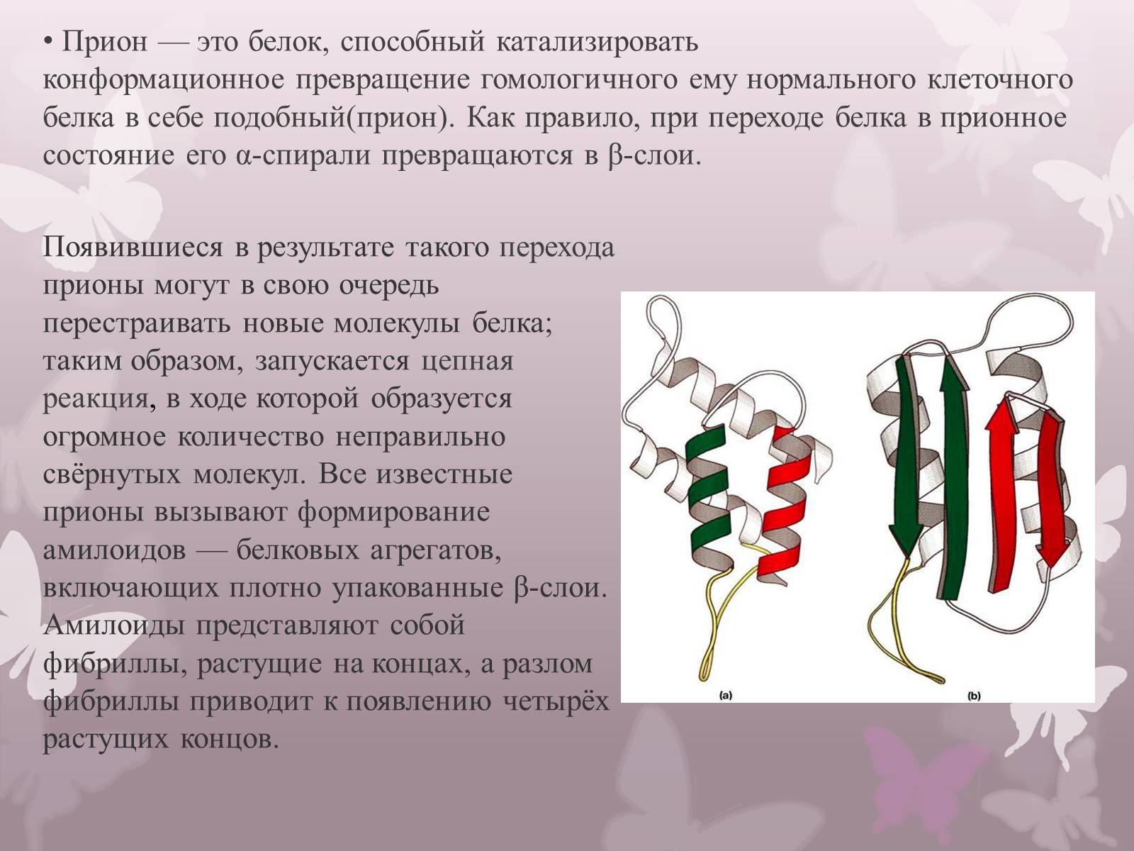 Презентація на тему «Прионы» - Слайд #2 Презентація на тему «Прионы» - Слайд #2