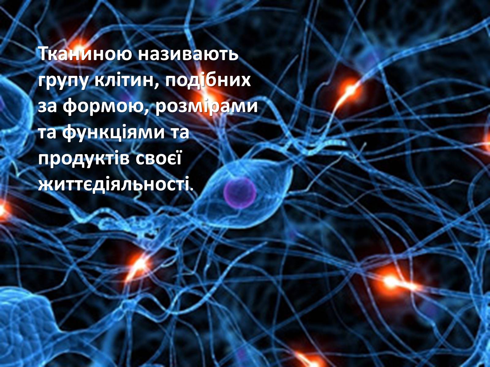 Презентація на тему «Гістологія» - Слайд #3 Презентація на тему «Гістологія» - Слайд #3