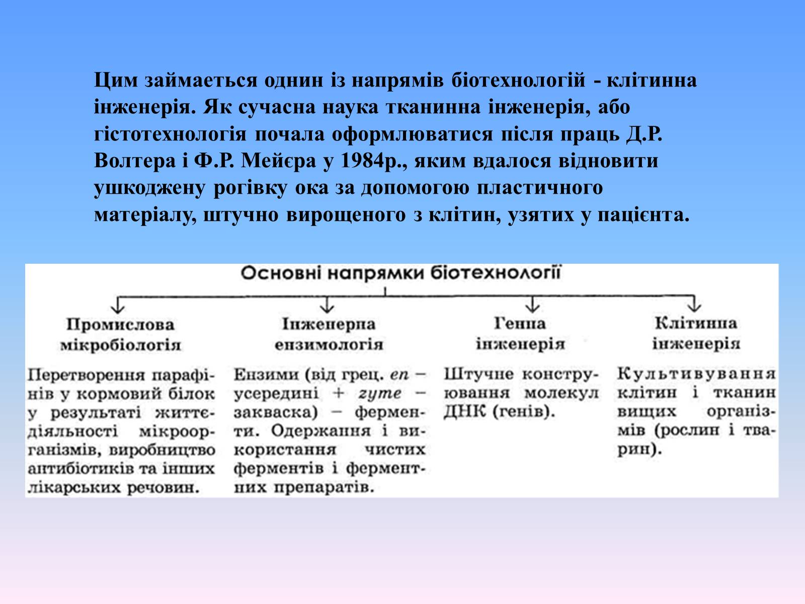 Презентація на тему «Гістологія» - Слайд #6 Презентація на тему «Гістологія» - Слайд #6