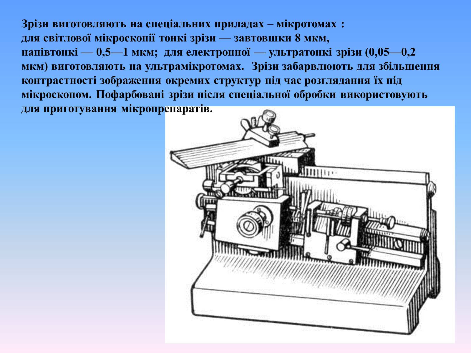 Презентація на тему «Гістологія» - Слайд #9 Презентація на тему «Гістологія» - Слайд #9