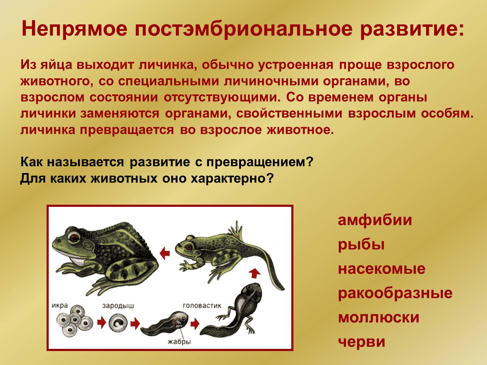 Презентація на тему «Индивидуальное развитие организмов» - Слайд #23 Презентація на тему «Индивидуальное развитие организмов» - Слайд #23