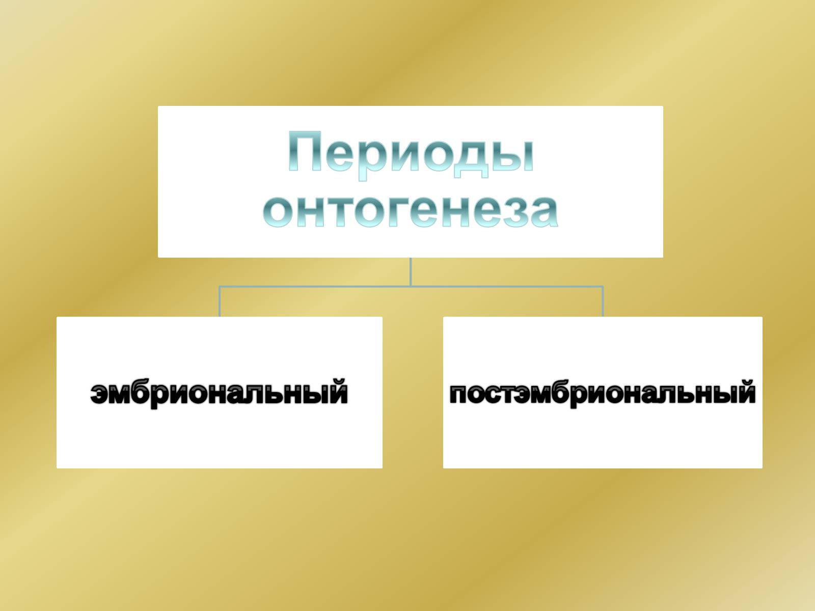 Презентація на тему «Индивидуальное развитие организмов» - Слайд #4 Презентація на тему «Индивидуальное развитие организмов» - Слайд #4