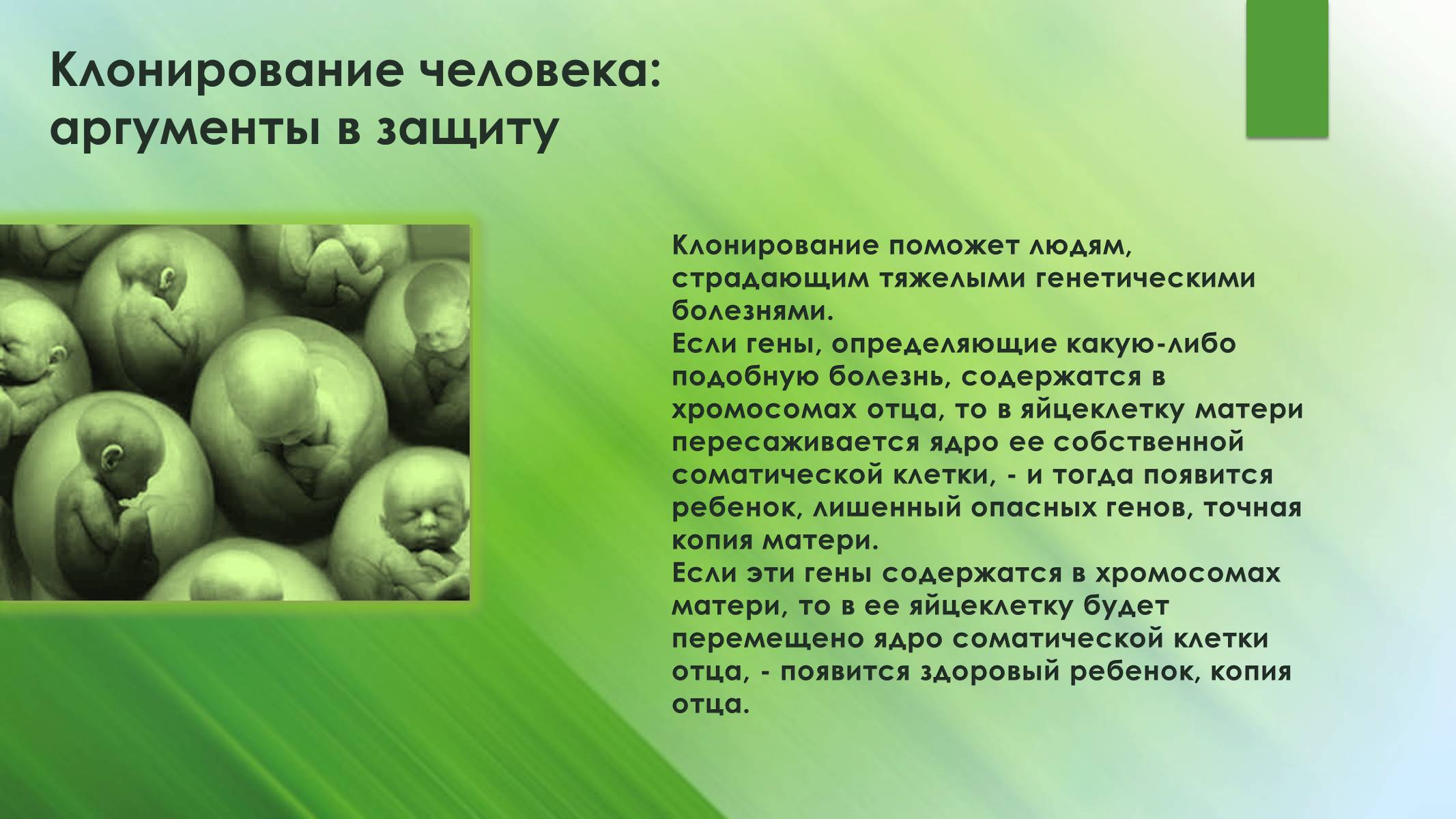 Презентація на тему «Клонирование человека» - Слайд #5 Презентація на тему «Клонирование человека» - Слайд #5