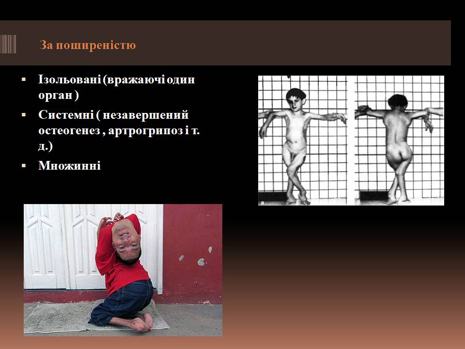 Презентація на тему «Гомеостаз ембріонального розвитку» - Слайд #12 Презентація на тему «Гомеостаз ембріонального розвитку» - Слайд #12