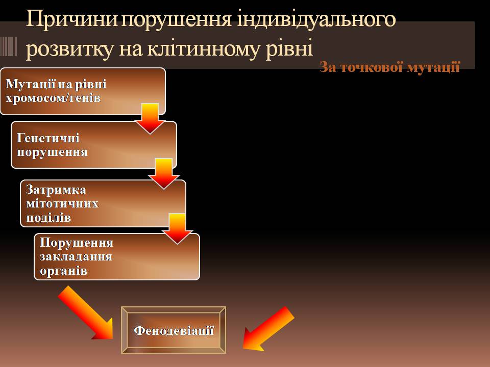 Презентація на тему «Гомеостаз ембріонального розвитку» - Слайд #3 Презентація на тему «Гомеостаз ембріонального розвитку» - Слайд #3