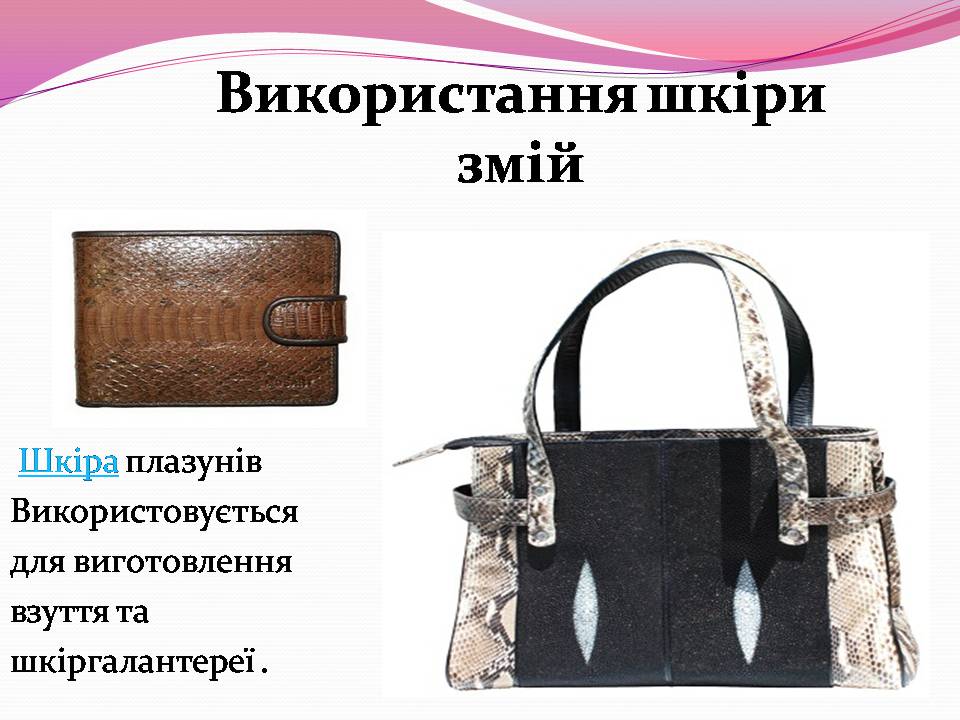 Презентація на тему «Різноманітності змій» - Слайд #8 Презентація на тему «Різноманітності змій» - Слайд #8