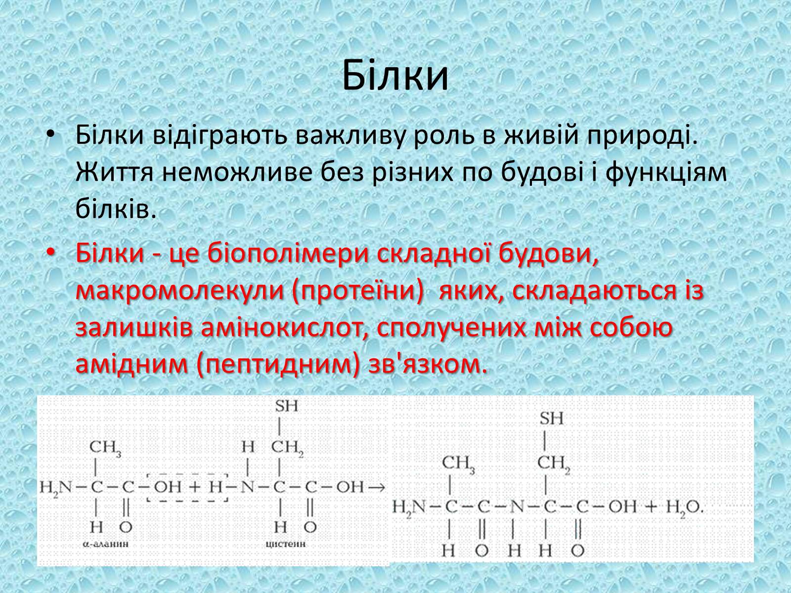 Презентація на тему «Білки» (варіант 10) - Слайд #2 Презентація на тему «Білки» (варіант 10) - Слайд #2
