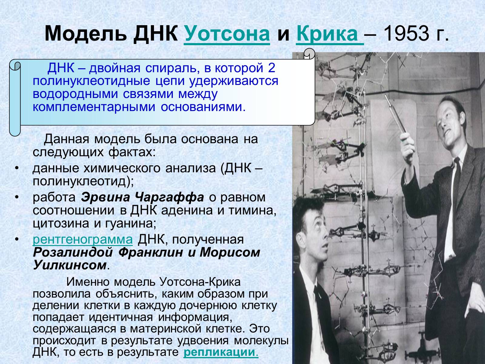 Презентація на тему «Нуклеиновые кислоты» - Слайд #10 Презентація на тему «Нуклеиновые кислоты» - Слайд #10