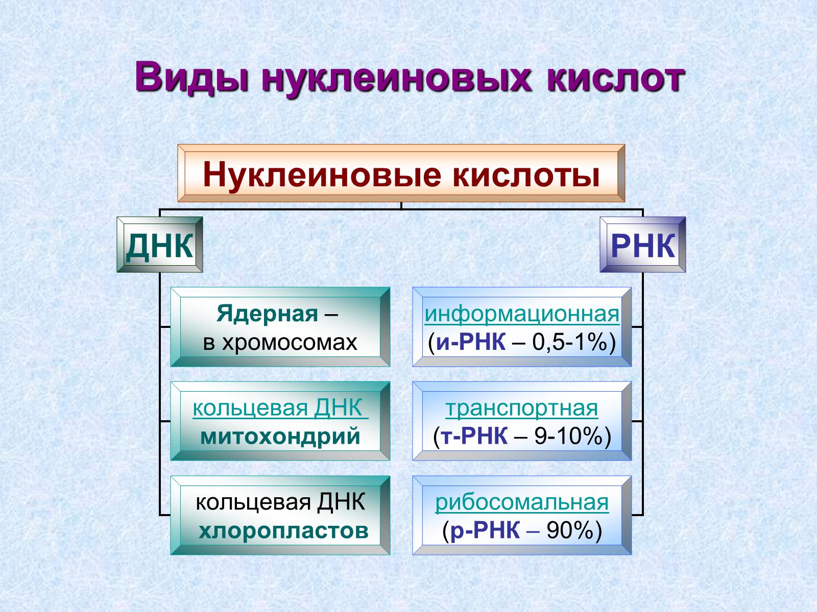 Презентація на тему «Нуклеиновые кислоты» - Слайд #11 Презентація на тему «Нуклеиновые кислоты» - Слайд #11