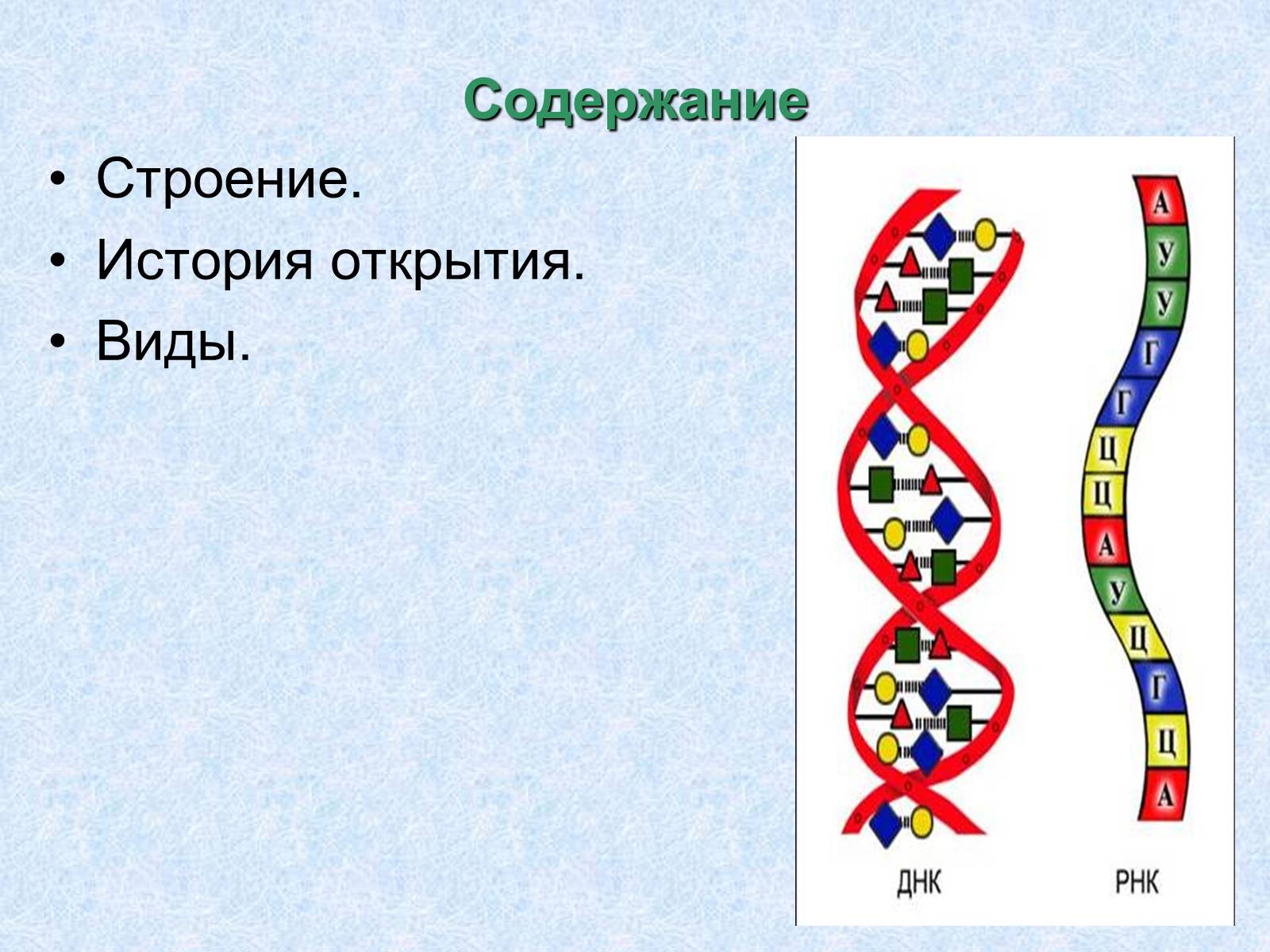 Презентація на тему «Нуклеиновые кислоты» - Слайд #2 Презентація на тему «Нуклеиновые кислоты» - Слайд #2