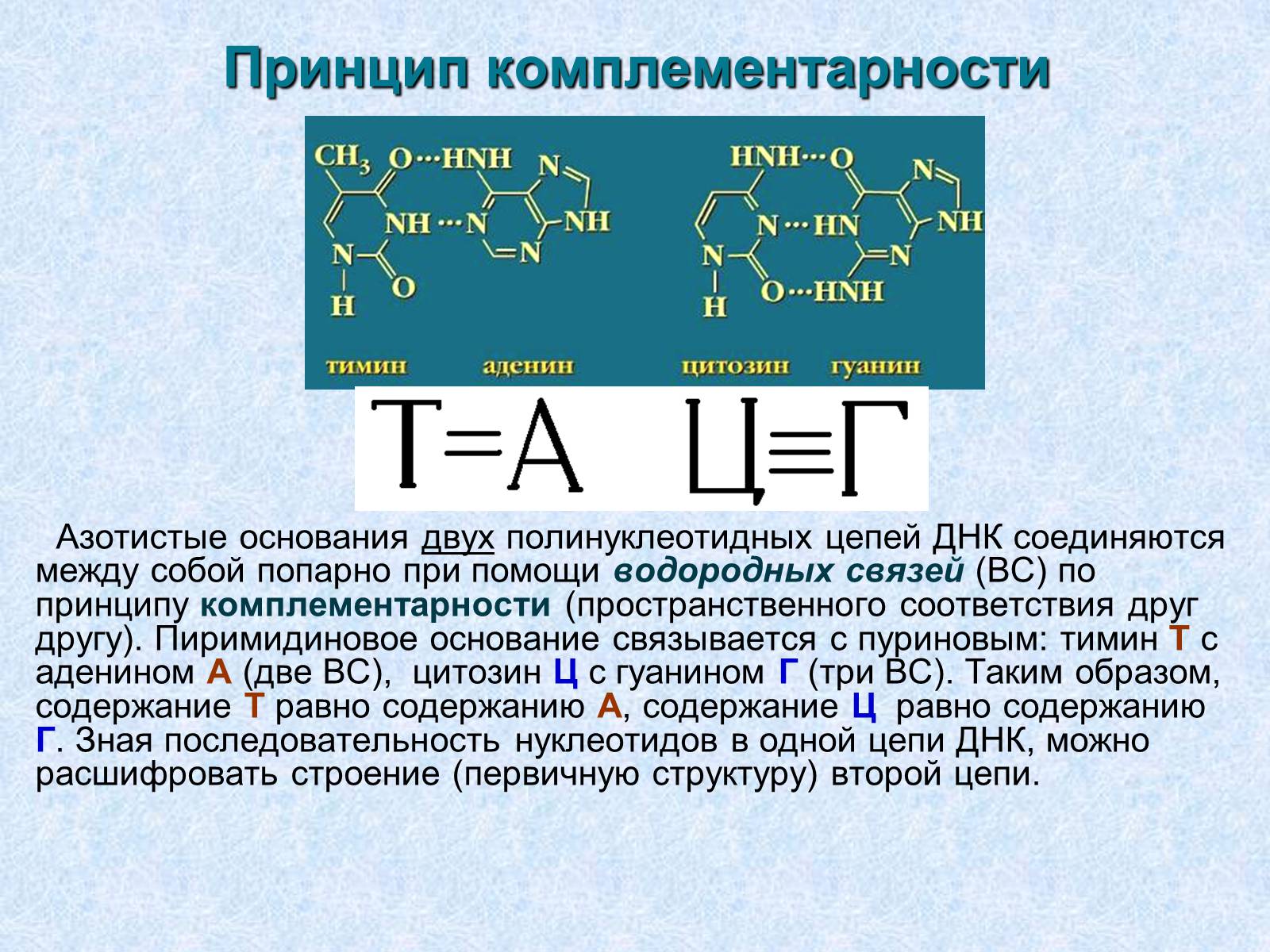 Презентація на тему «Нуклеиновые кислоты» - Слайд #6 Презентація на тему «Нуклеиновые кислоты» - Слайд #6