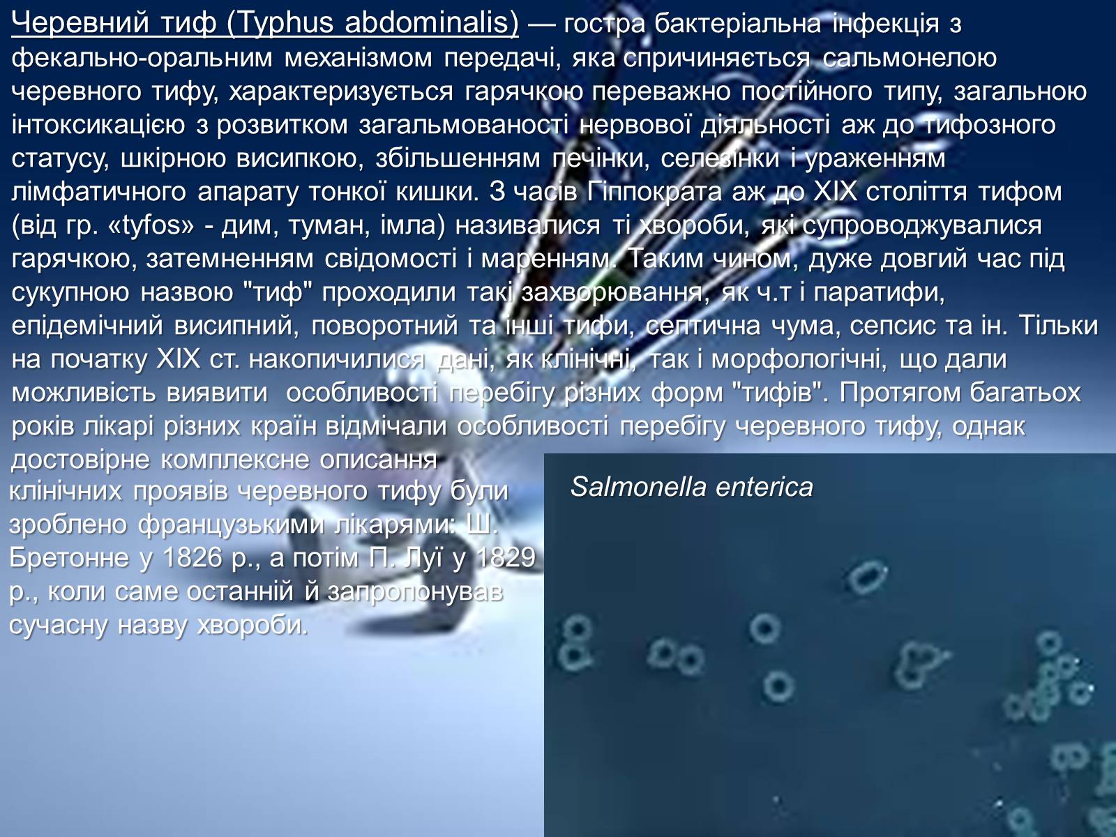 Презентація на тему «Інфекції» (варіант 1) - Слайд #11 Презентація на тему «Інфекції» (варіант 1) - Слайд #11