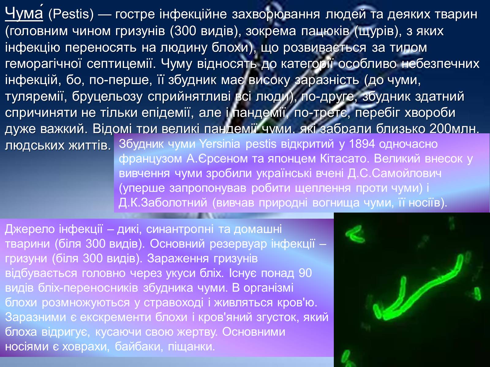 Презентація на тему «Інфекції» (варіант 1) - Слайд #29 Презентація на тему «Інфекції» (варіант 1) - Слайд #29