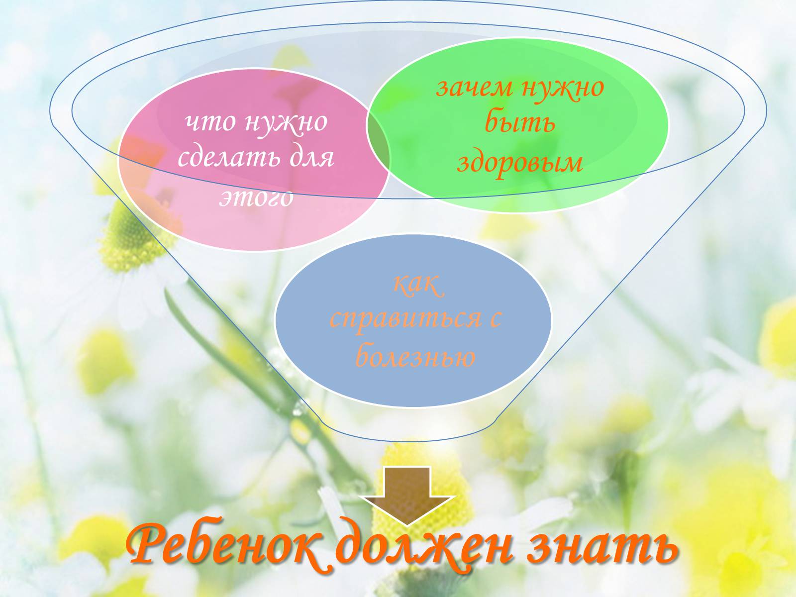 Презентація на тему «Валеология» - Слайд #8 Презентація на тему «Валеология» - Слайд #8