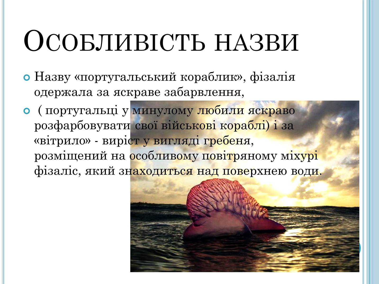 Презентація на тему «Кишковопорожнинні» (варіант 1) - Слайд #10 Презентація на тему «Кишковопорожнинні» (варіант 1) - Слайд #10