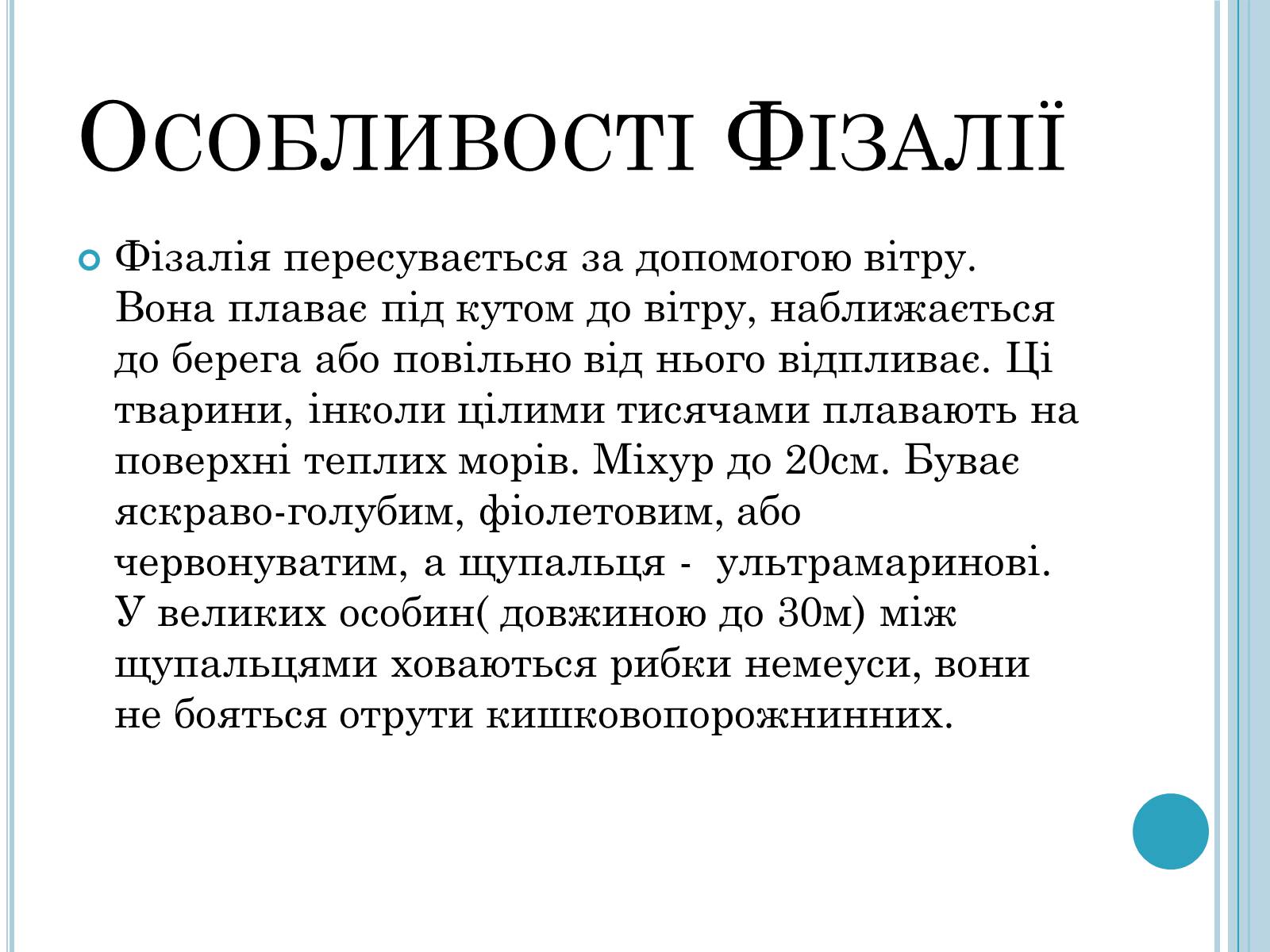 Презентація на тему «Кишковопорожнинні» (варіант 1) - Слайд #11 Презентація на тему «Кишковопорожнинні» (варіант 1) - Слайд #11