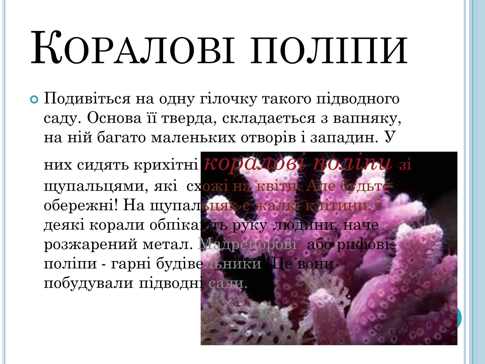 Презентація на тему «Кишковопорожнинні» (варіант 1) - Слайд #13 Презентація на тему «Кишковопорожнинні» (варіант 1) - Слайд #13