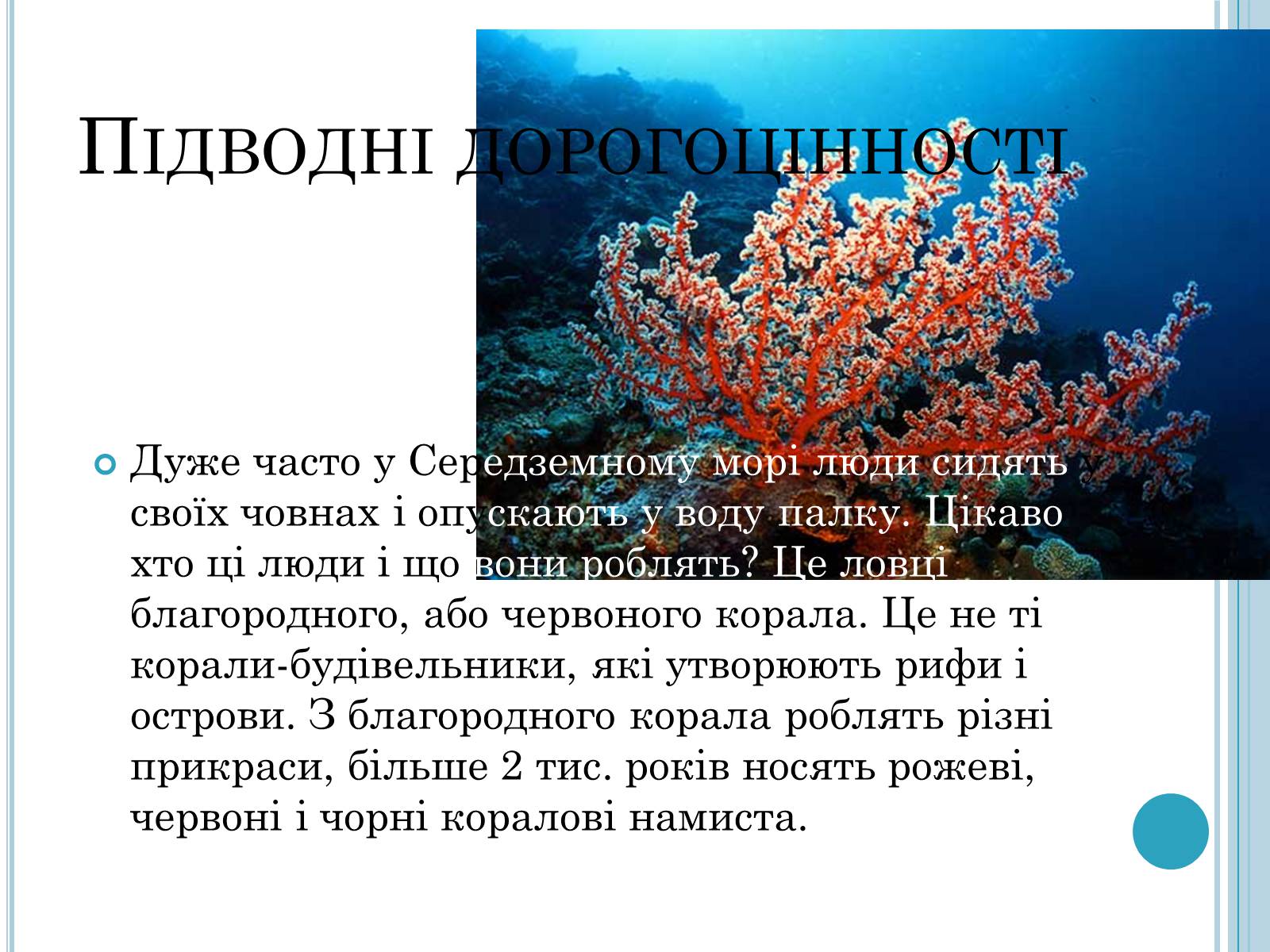Презентація на тему «Кишковопорожнинні» (варіант 1) - Слайд #17 Презентація на тему «Кишковопорожнинні» (варіант 1) - Слайд #17