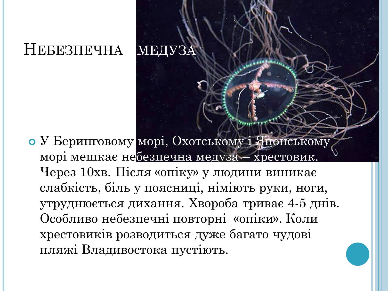 Презентація на тему «Кишковопорожнинні» (варіант 1) - Слайд #8 Презентація на тему «Кишковопорожнинні» (варіант 1) - Слайд #8