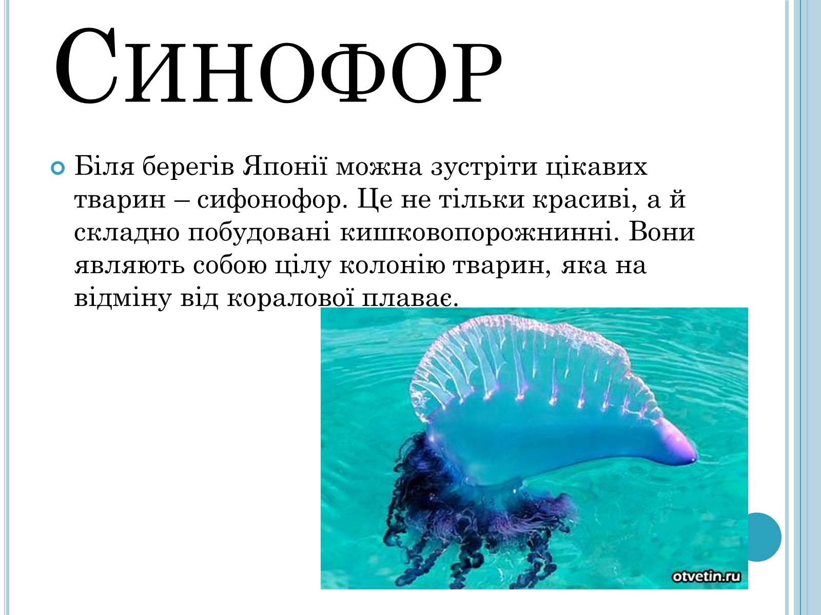 Презентація на тему «Кишковопорожнинні» (варіант 1) - Слайд #9 Презентація на тему «Кишковопорожнинні» (варіант 1) - Слайд #9