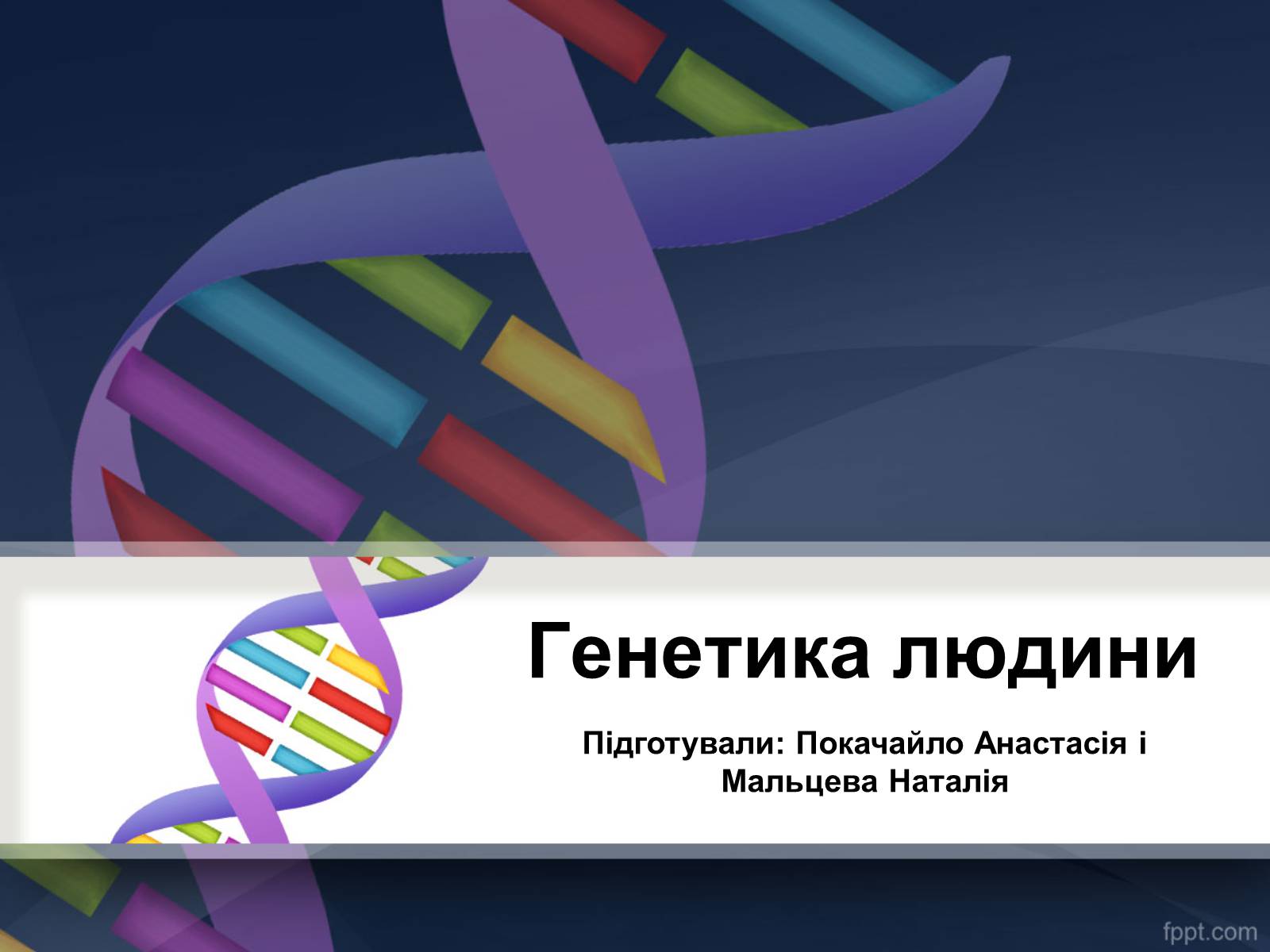 Презентація на тему «Генетика» (варіант 11) - Слайд #1 Презентація на тему «Генетика» (варіант 11) - Слайд #1