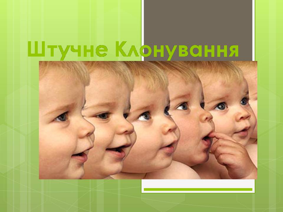 Презентація на тему «Штучне клонування» - Слайд #1 Презентація на тему «Штучне клонування» - Слайд #1