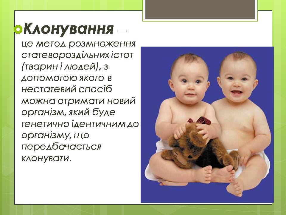 Презентація на тему «Штучне клонування» - Слайд #3 Презентація на тему «Штучне клонування» - Слайд #3