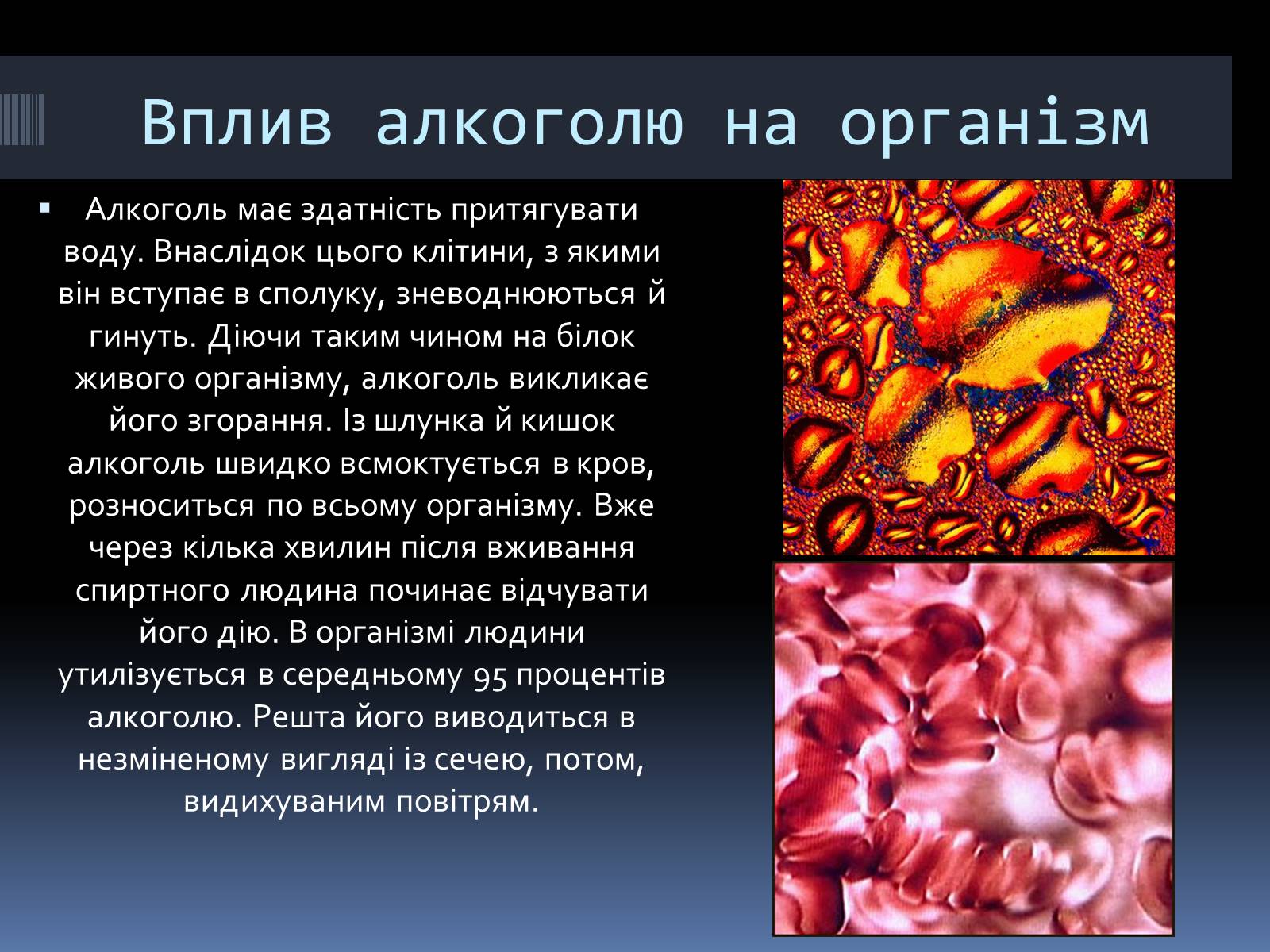 Презентація на тему «Вплив алкоголю на організм людини» (варіант 1) - Слайд #8 Презентація на тему «Вплив алкоголю на організм людини» (варіант 1) - Слайд #8