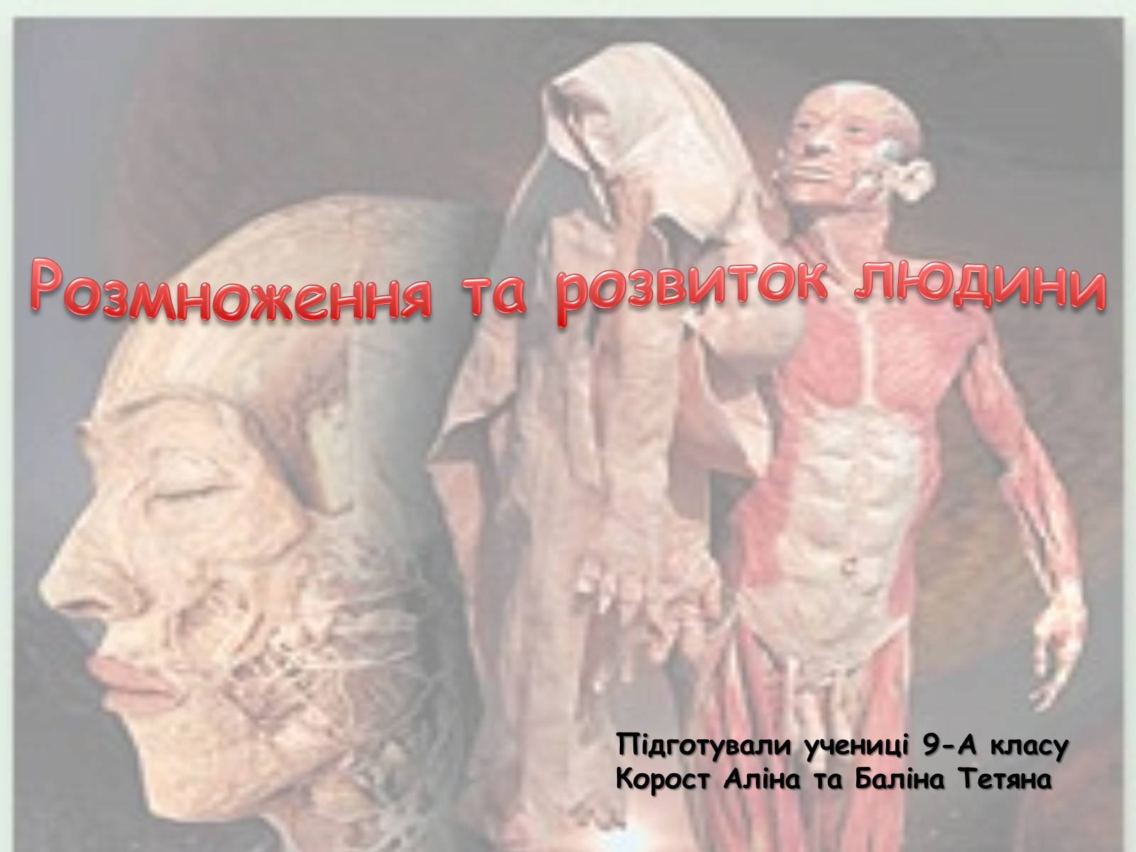 Презентація на тему «Розмноження та розвиток людини» (варіант 2) - Слайд #1 Презентація на тему «Розмноження та розвиток людини» (варіант 2) - Слайд #1