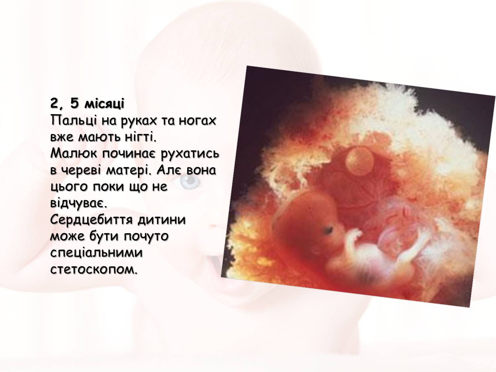 Презентація на тему «Розмноження та розвиток людини» (варіант 2) - Слайд #10 Презентація на тему «Розмноження та розвиток людини» (варіант 2) - Слайд #10
